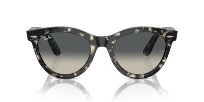 Ray-Ban Wayfarer Way RB2241