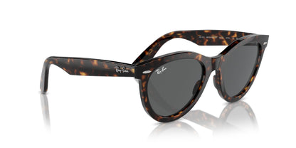 Ray-Ban Wayfarer Way RB2241