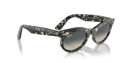 Ray-Ban Wayfarer Oval RB2242