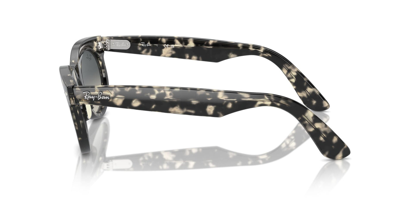 Ray-Ban Wayfarer Oval RB2242