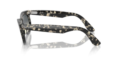 Ray-Ban Wayfarer Oval RB2242