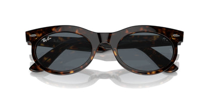 Ray-Ban Wayfarer Oval RB2242