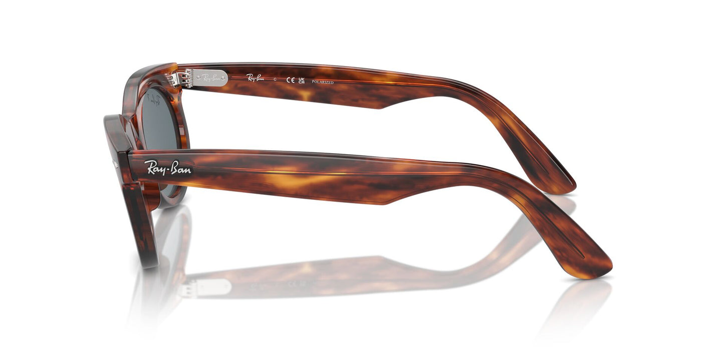 Ray-Ban Wayfarer Oval RB2242