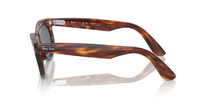 Ray-Ban Wayfarer Oval RB2242