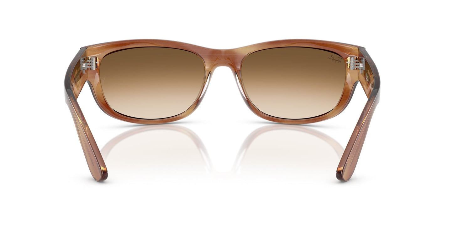 Ray-Ban Mega Balorama RB2289