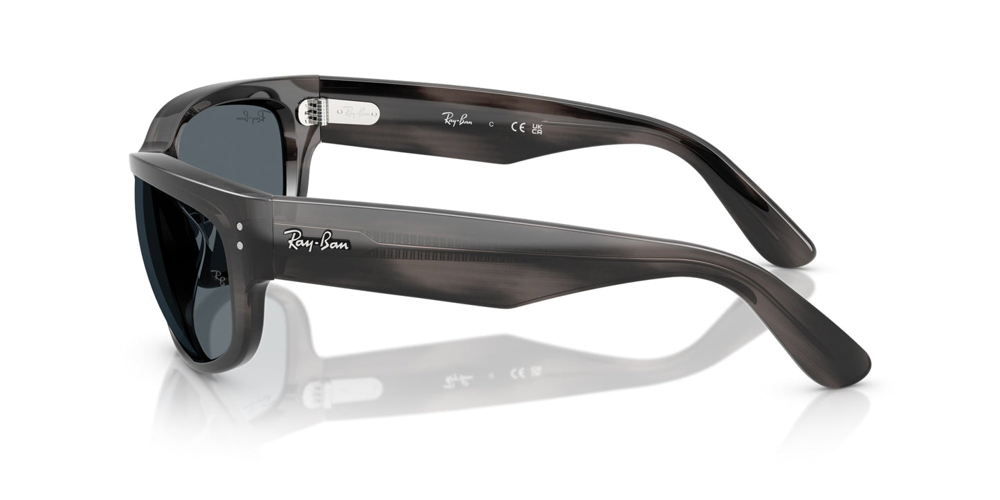 Ray-Ban Mega Balorama RB2289