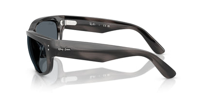 Ray-Ban Mega Balorama RB2289
