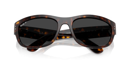 Ray-Ban Mega Balorama RB2289