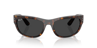 Ray-Ban Mega Balorama RB2289