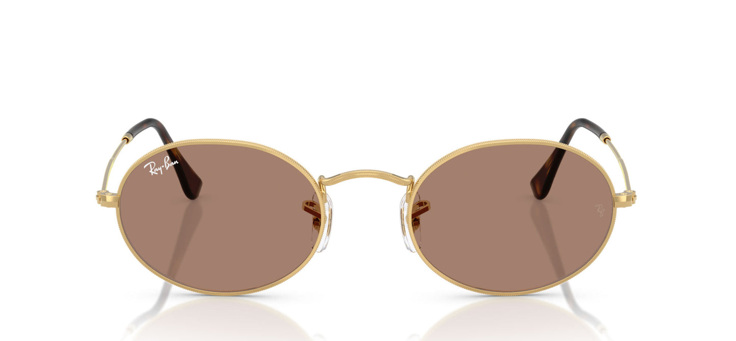 Ray-Ban RB3547