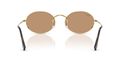 Ray-Ban RB3547