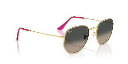 Ray-Ban Hexagonal RB3548N