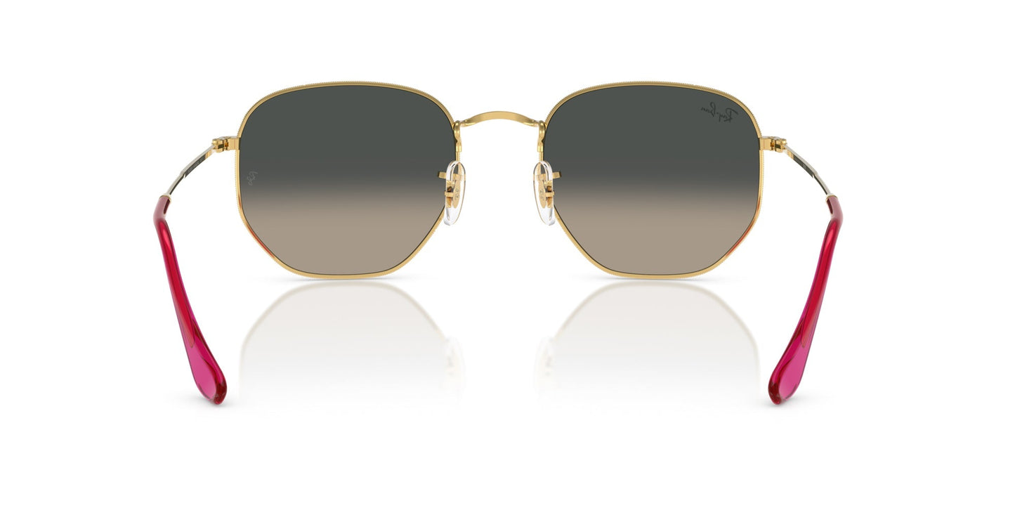 Ray-Ban Hexagonal RB3548N