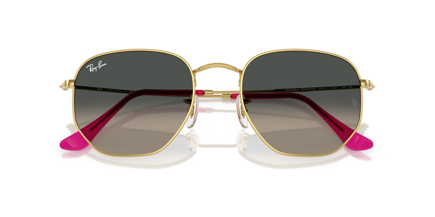 Ray-Ban Hexagonal RB3548N