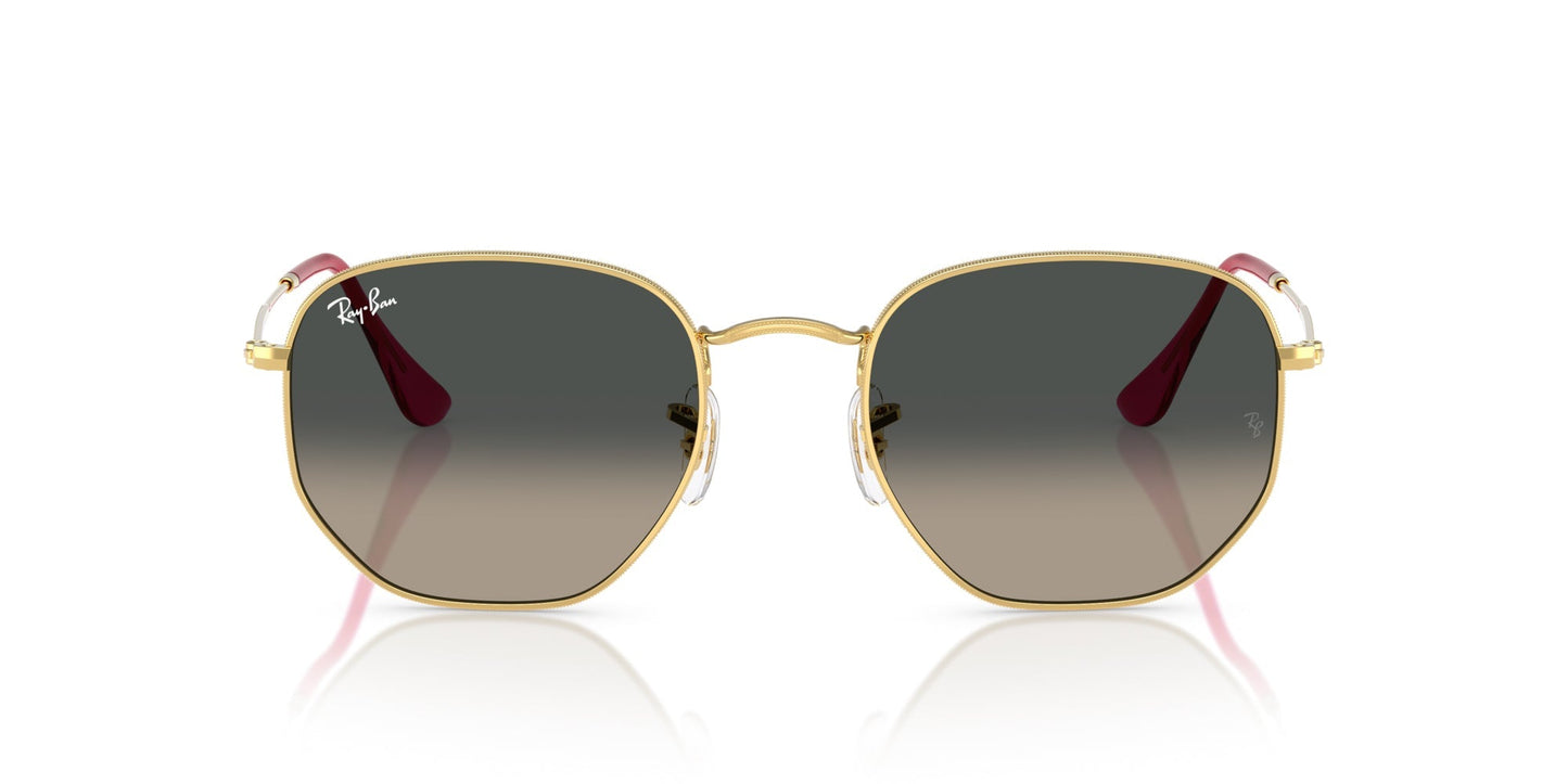 Ray-Ban Hexagonal RB3548N