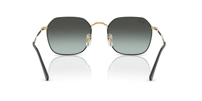Ray-Ban Jim RB3694