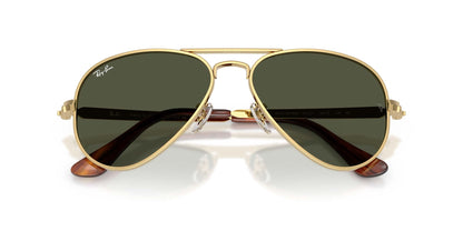 Ray-Ban Aviator Max RB3925