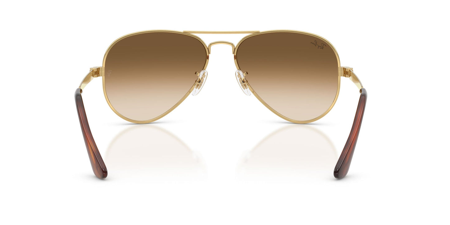 Ray-Ban Aviator Max RB3925