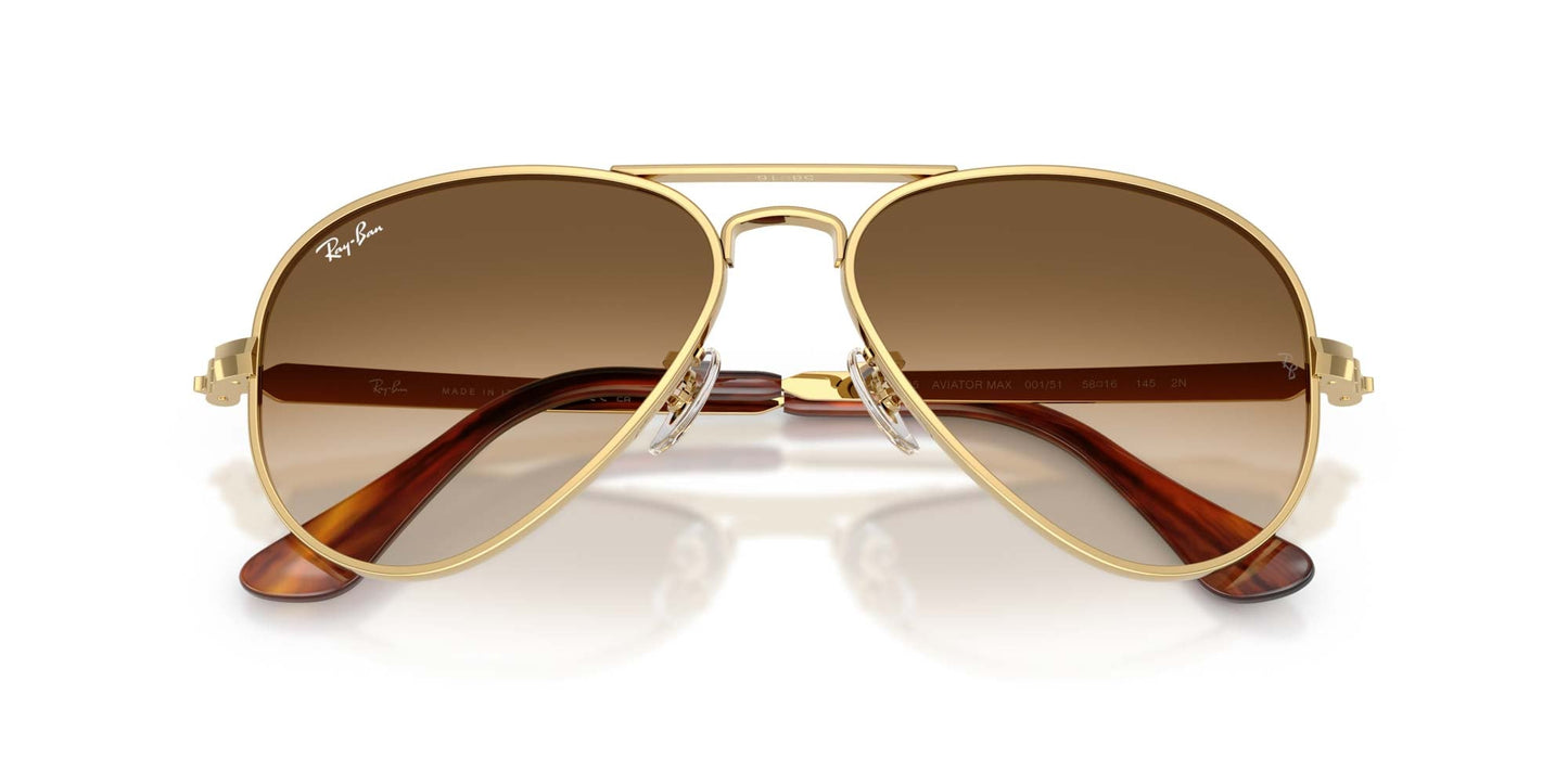 Ray-Ban Aviator Max RB3925