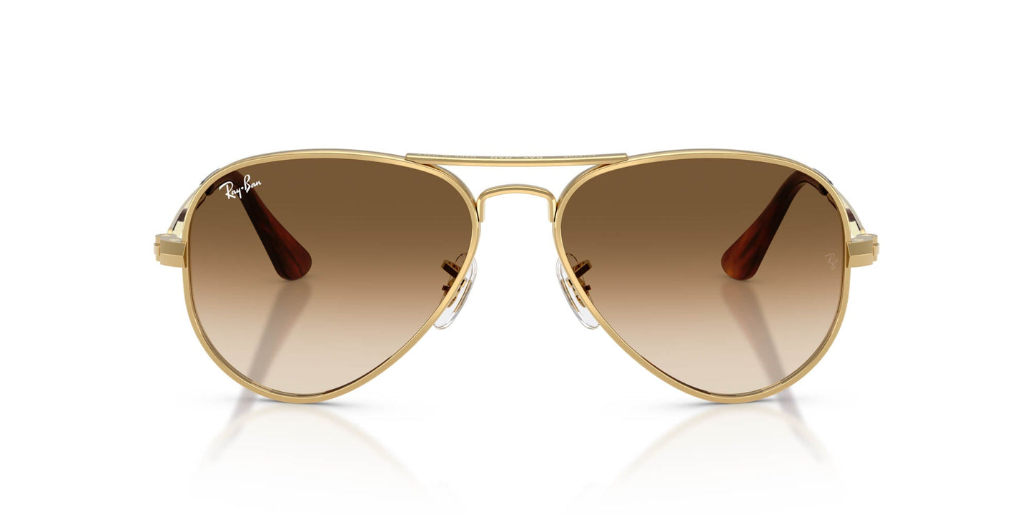 Ray-Ban Aviator Max RB3925