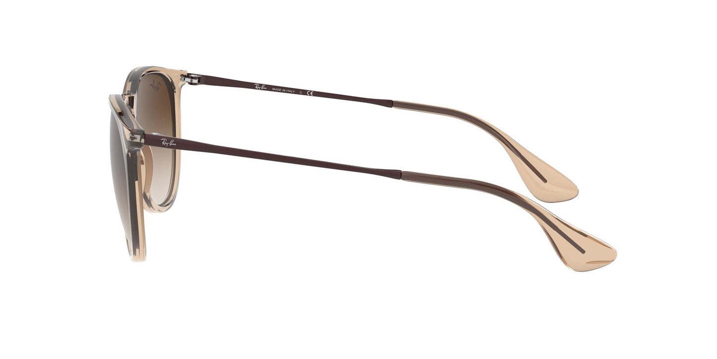 Ray-Ban Erika RB4171