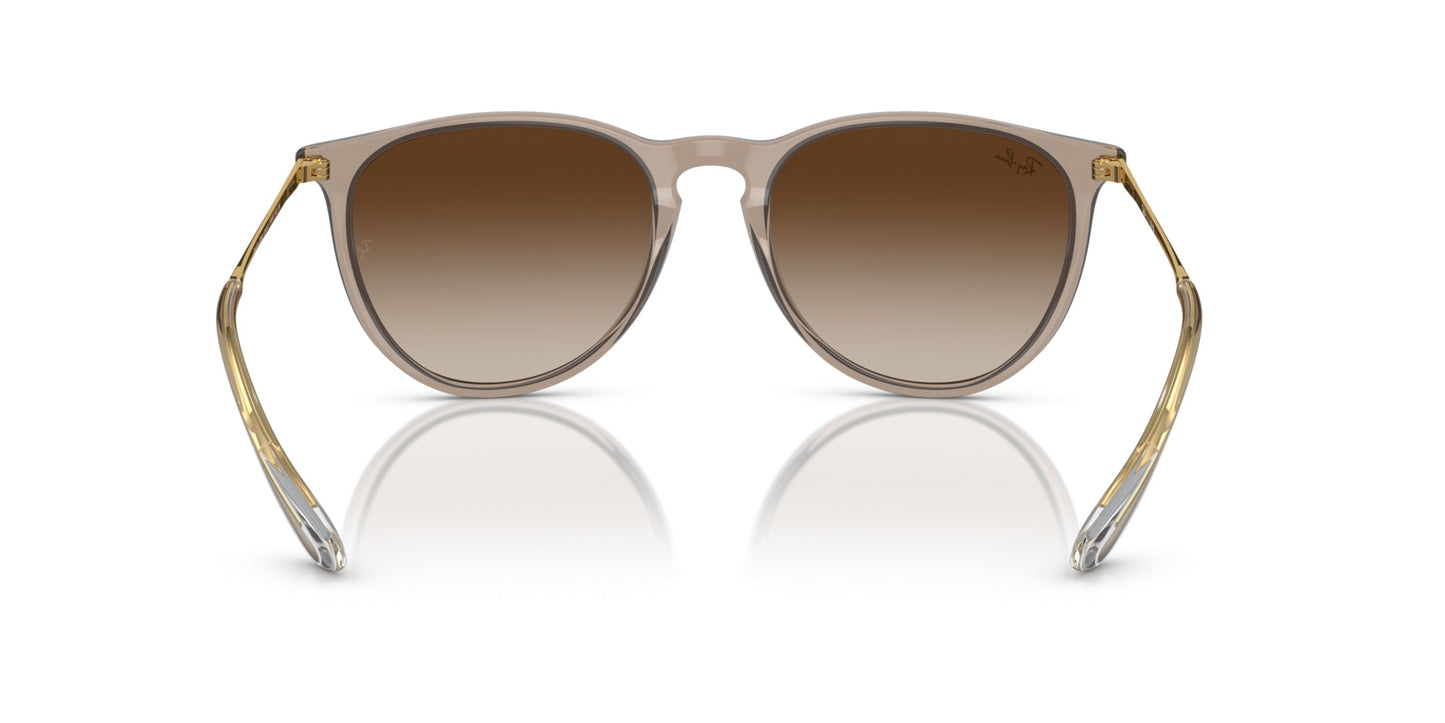 Ray-Ban Erika RB4171