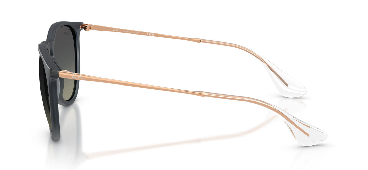Ray-Ban Erika RB4171
