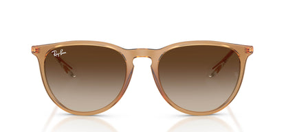 Ray-Ban Erika RB4171