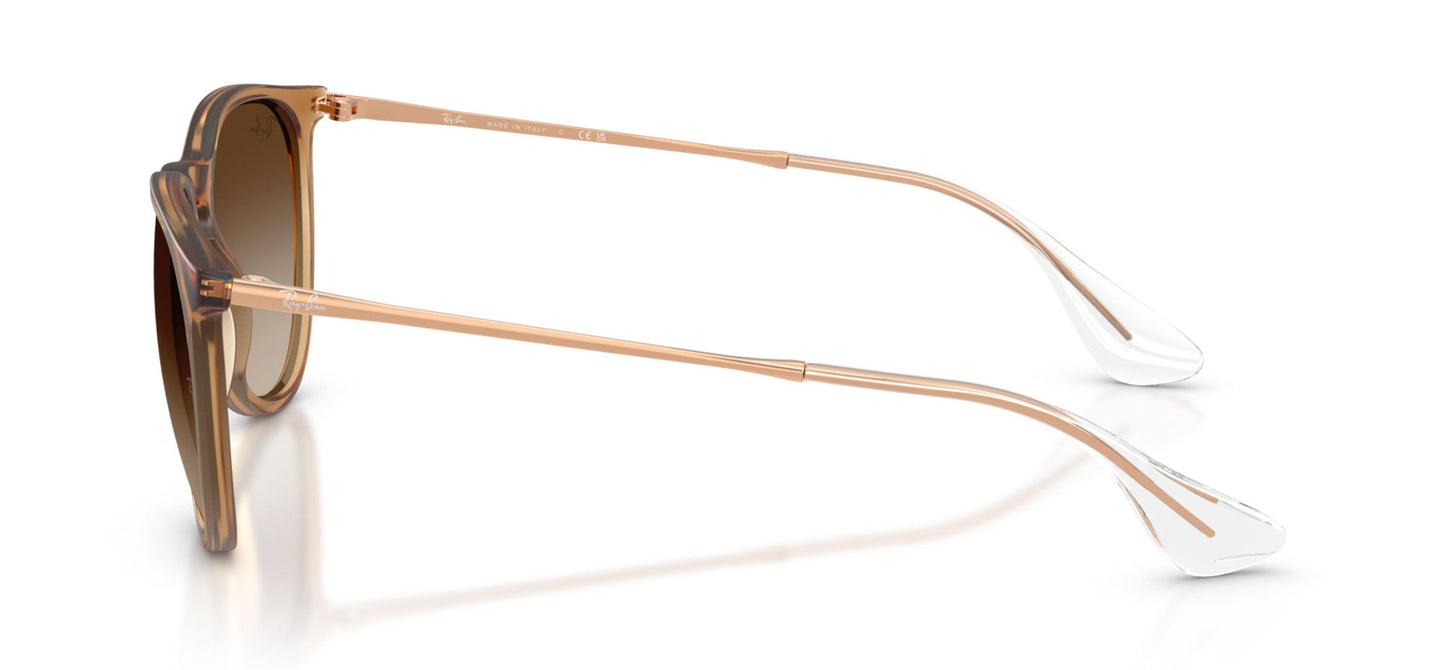 Ray-Ban Erika RB4171