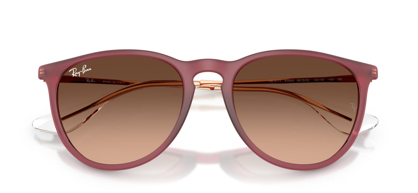 Ray-Ban Erika RB4171
