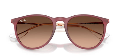 Ray-Ban Erika RB4171