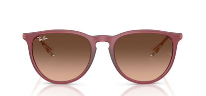 Ray-Ban Erika RB4171