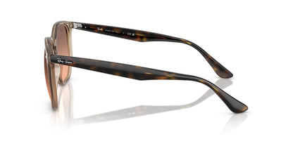 Ray-Ban RB4306