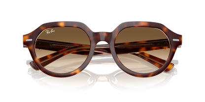 Ray-Ban Gina RB4399
