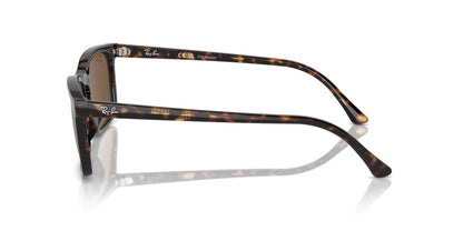 Ray-Ban RB4435