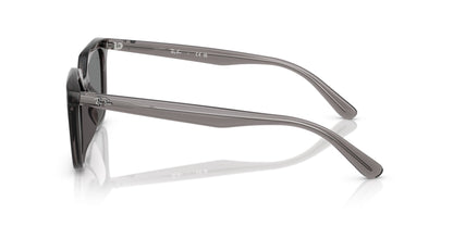 Ray-Ban RB4439D