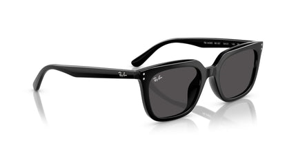 Ray-Ban RB4439D
