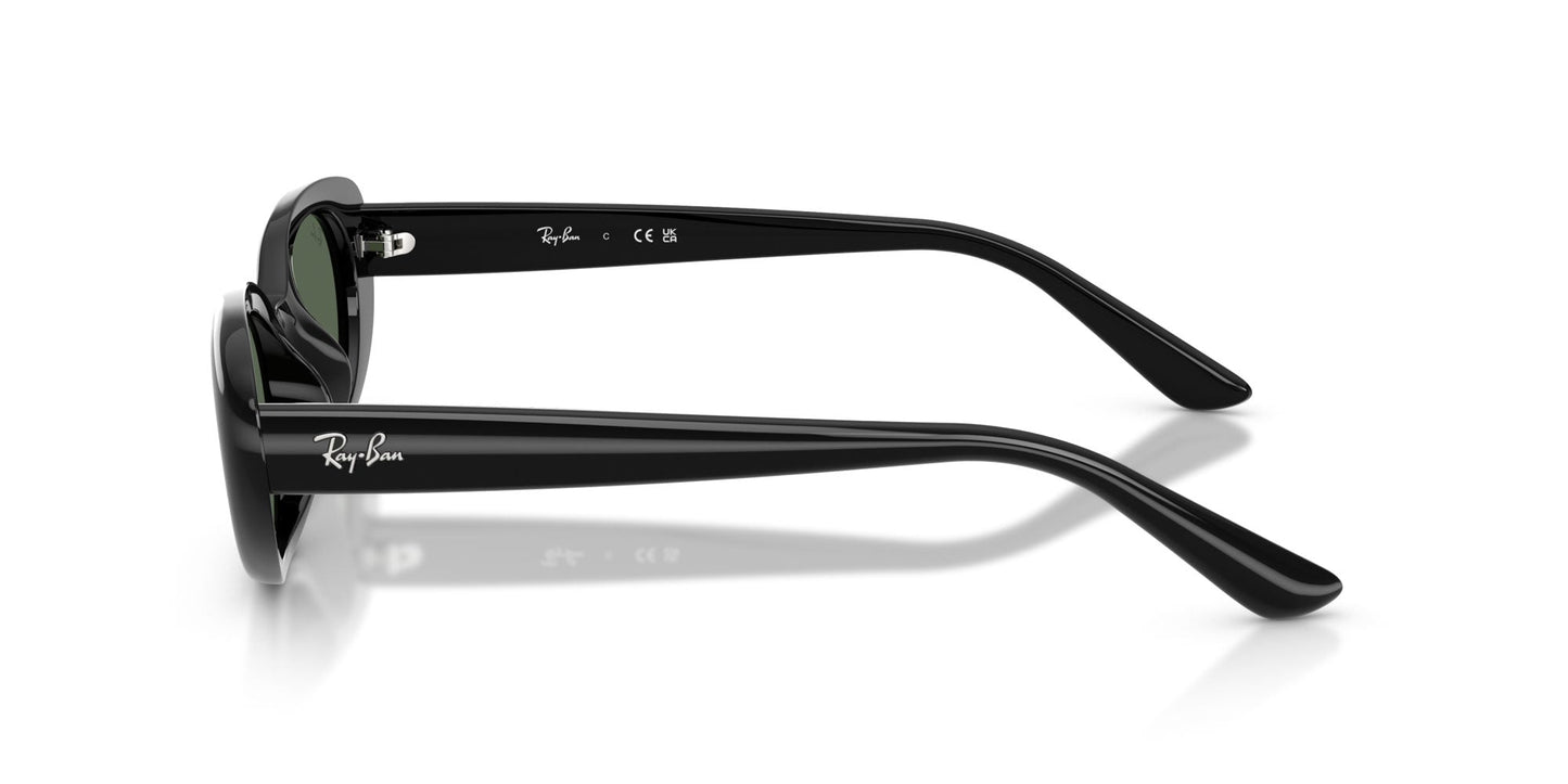 Ray-Ban RB4441D