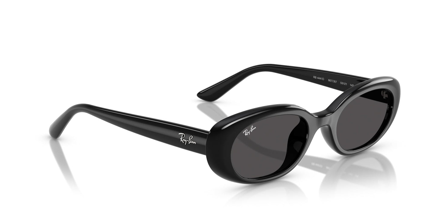 Ray-Ban RB4441D