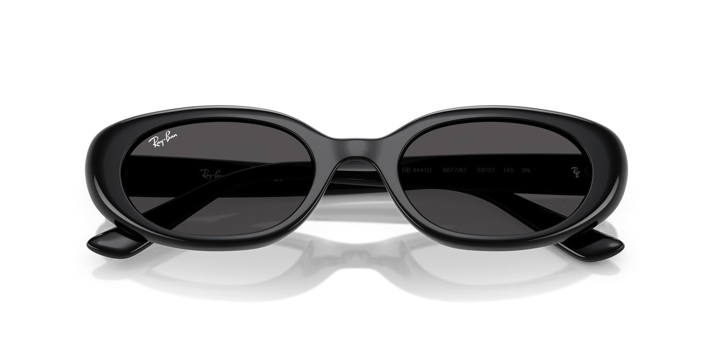 Ray-Ban RB4441D