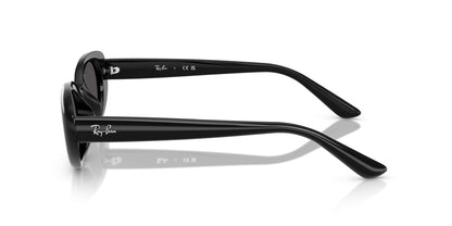 Ray-Ban RB4441D
