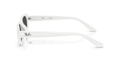 Ray-Ban RB4441D