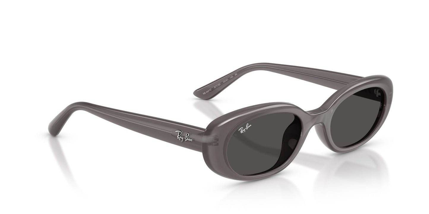 Ray-Ban RB4441D