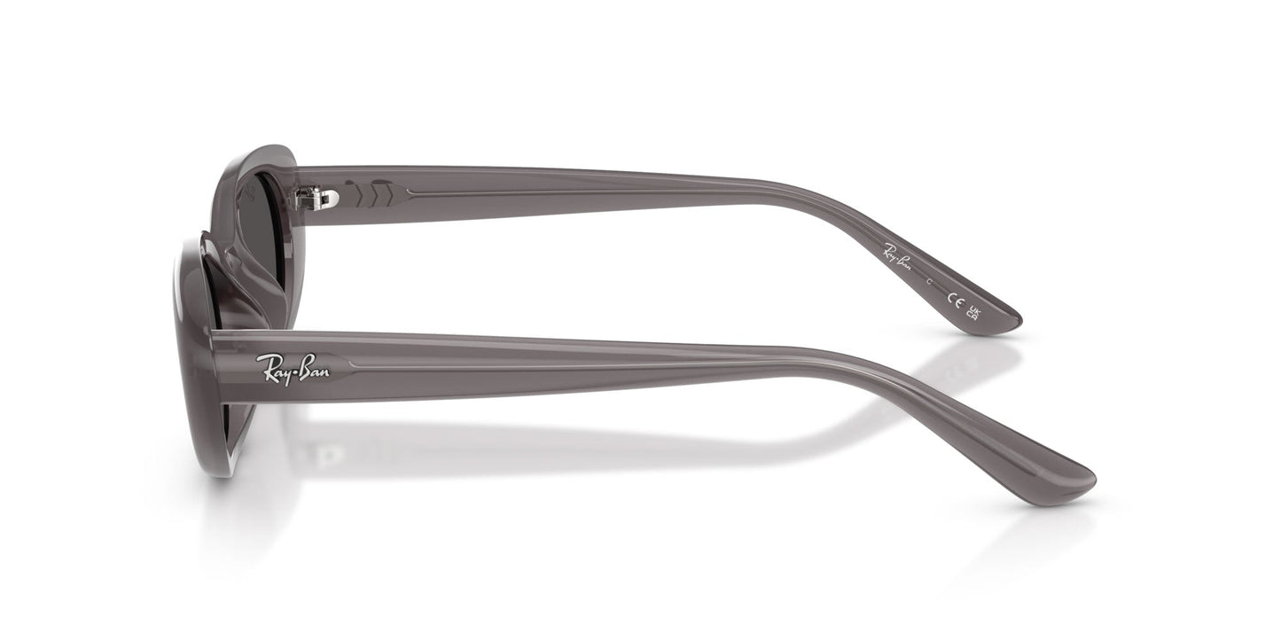 Ray-Ban RB4441D