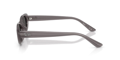 Ray-Ban RB4441D