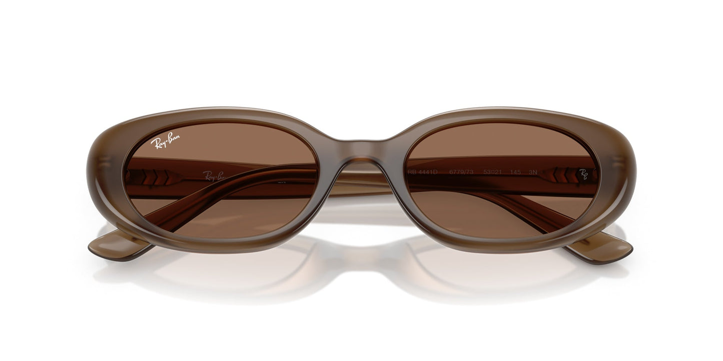 Ray-Ban RB4441D