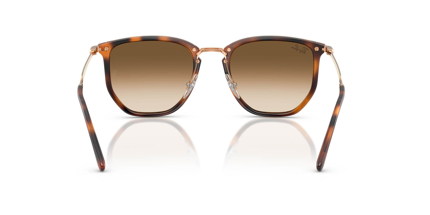 Ray-Ban RB4451