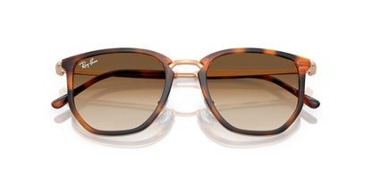 Ray-Ban RB4451