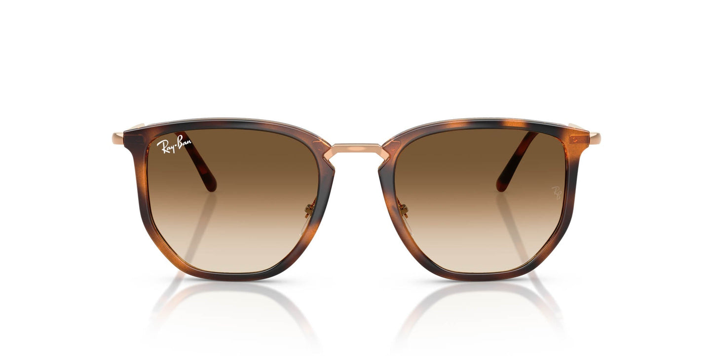 Ray-Ban RB4451