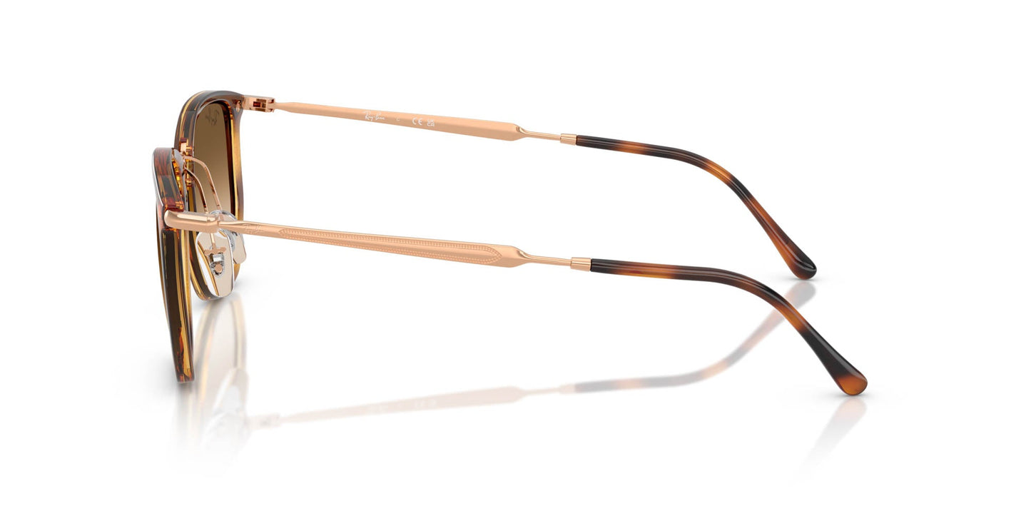 Ray-Ban RB4451